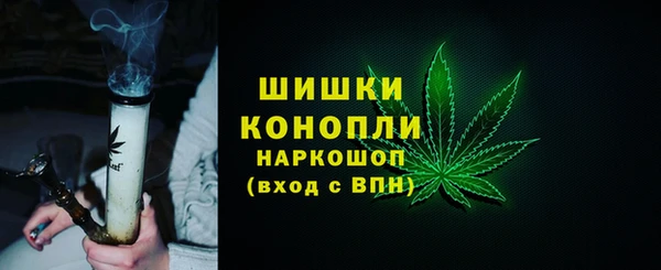 твердый Богданович