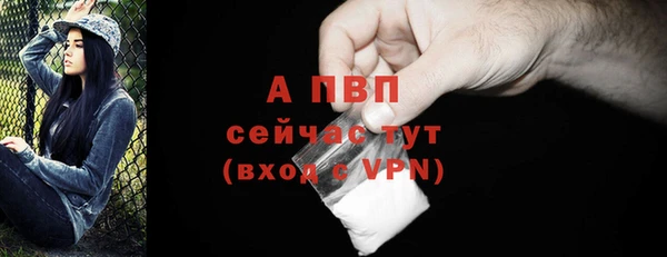 твердый Богданович
