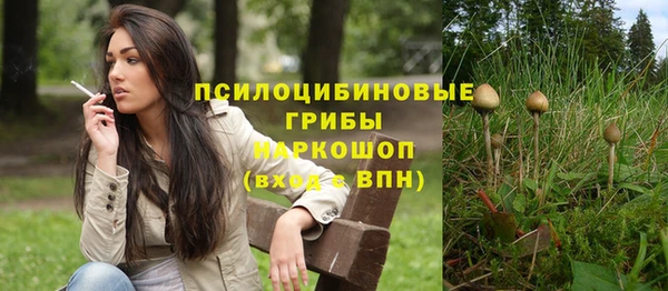 экстази Богородск