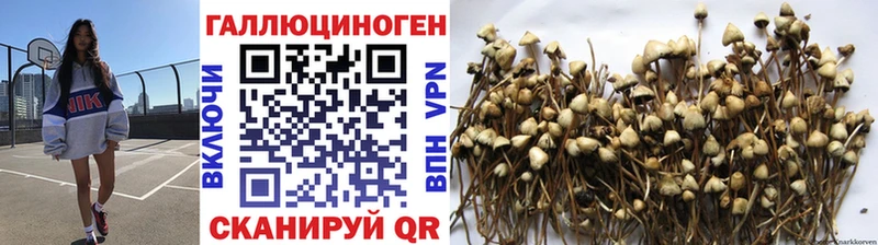 Галлюциногенные грибы ЛСД  купить  цена  Раменское 